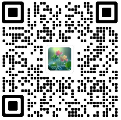 Journal of Measurement Science and Instrumentation杂志模板